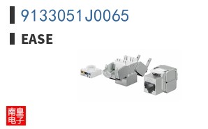9133051J0065