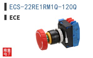 ECS-22RE1RM1Q-120Q