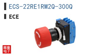 ECS-22RE1RM2Q-300Q