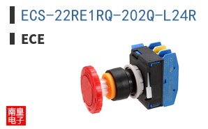 ECS-22RE1RQ-202Q-L24R