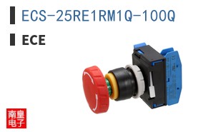 ECS-25RE1RM1Q-100Q