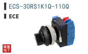 ECS-30RS1K1Q-110Q