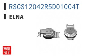 RSCS12042R5D01004T