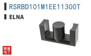 RSRBD101M1EE11300T
