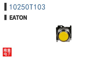 10250T103