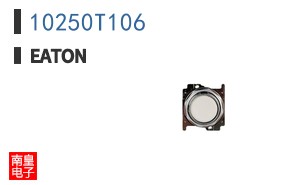 10250T106
