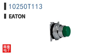10250T113