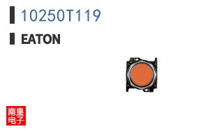 10250T119