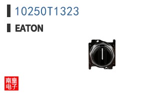 10250T1323