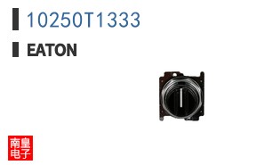 10250T1333
