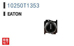 10250T1353