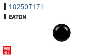 10250T171