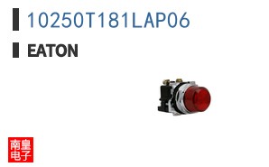 10250T181LAP06