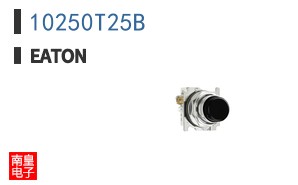 10250T25B