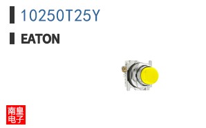 10250T25Y