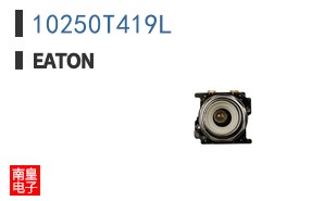 10250T419L