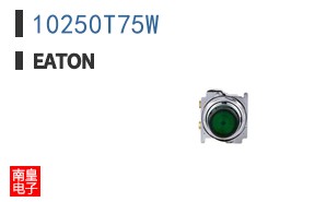 10250T75W