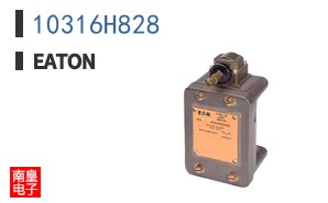 10316H828