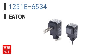 1251E-6534