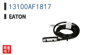 13100AF1817