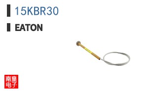 15KBR30