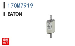 170M7919