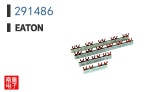 291486