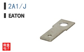 2A1/J