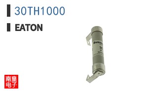 30TH1000