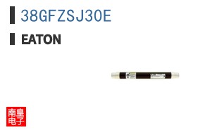 38GFZSJ30E
