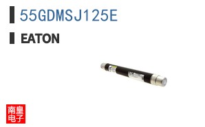55GDMSJ125E