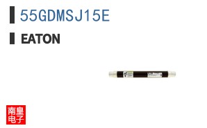 55GDMSJ15E