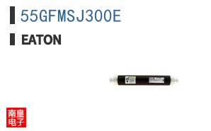 55GFMSJ300E