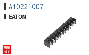 A10221007