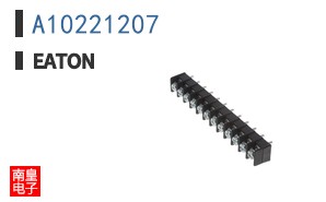 A10221207
