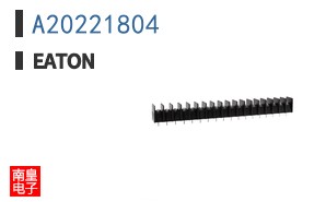 A20221804