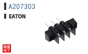 A207303