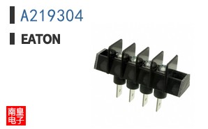 A219304
