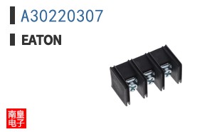 A30220307