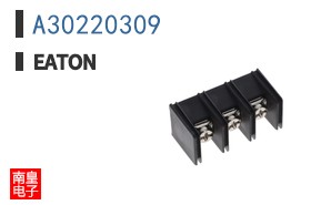 A30220309