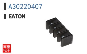 A30220407