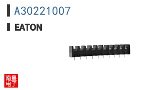 A30221007