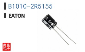 B1010-2R5155