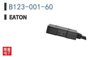 B123-001-60