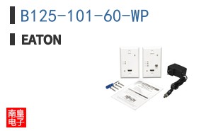 B125-101-60-WP