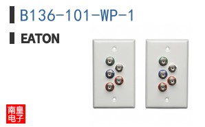 B136-101-WP-1
