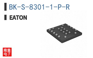 BK-S-8301-1-P-R