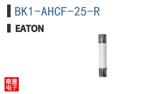 BK1-AHCF-25-R