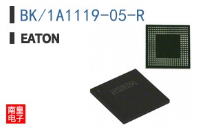 BK/1A1119-05-R