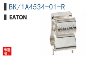 BK/1A4534-01-R